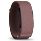 Garmin CIRQA Smart Band