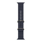 Apple Watch Ultra 2 49MM Natural Titanium Case with Navy Ocean Band