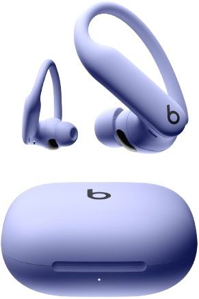Beats Powerbeats Pro 2 Wireless Sport Earbuds blue