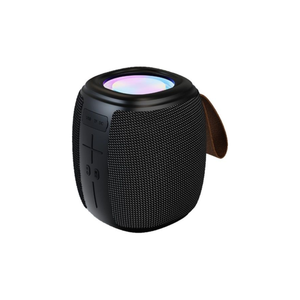 Dongshun BTS0015 Bluetooth Speaker