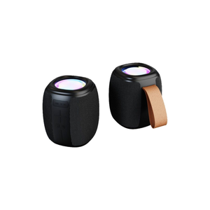Dongshun BTS0015 Bluetooth Speaker