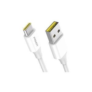 Pisen TC05-1000 3A USB Type-C Cable (3.3FT)