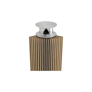 Bang & Olufsen Beolab 18 Light Oak Wireless Speaker