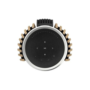 Bang & Olufsen Beolab 28 Hi-Fidelity Wireless Home Speakers