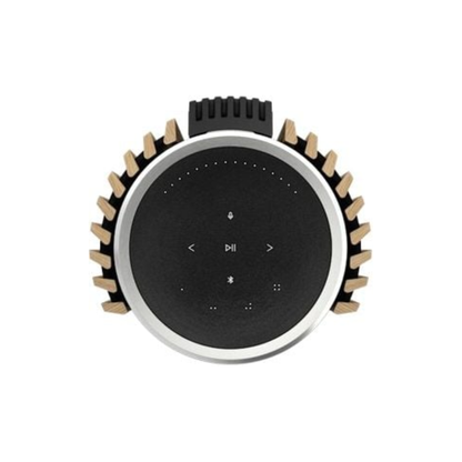 Bang & Olufsen Beolab 28 Hi-Fidelity Wireless Home Speakers