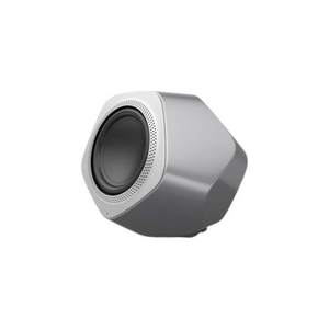 Bang & Olufsen BeoLab 19 Home Theatre System Speaker