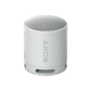 Sony SRS-XB100 Wireless Bluetooth Portable Speaker