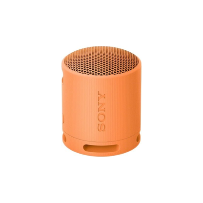 Sony SRS-XB100 Wireless Bluetooth Portable Speaker