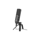 Rode NT-USB Versatile Studio-Quality USB Condenser Microphone – Black