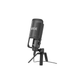 Rode NT-USB Versatile Studio-Quality USB Condenser Microphone – Black