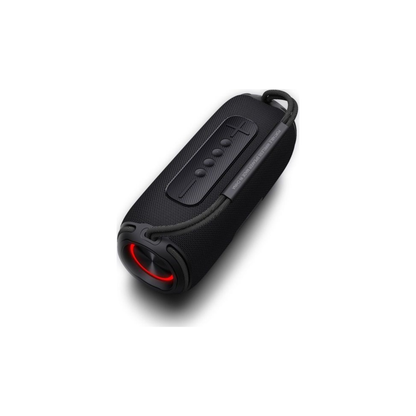 Dongshun BTS0029 Bluetooth Speaker