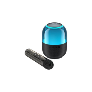 Havit SK894BT Bluetooth Speaker With Microphone