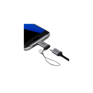 Ugreen USB-C Female to Micro USB Male Adapter