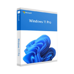 Windows 11 Pro DVD Pack
