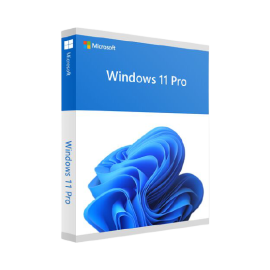 Windows 11 Pro DVD Pack